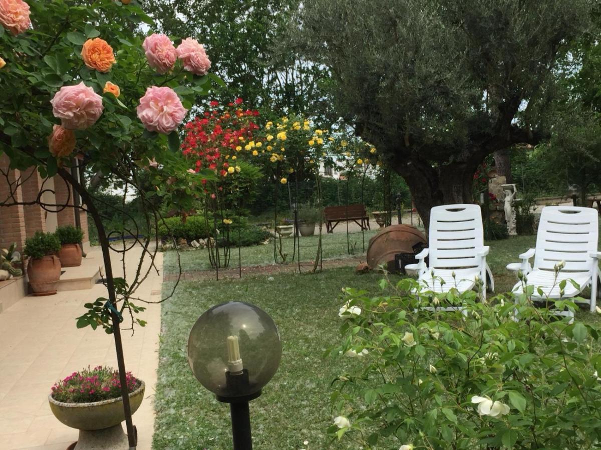 San Giuseppe  Picchio Verde מראה חיצוני תמונה